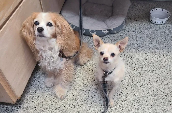 Princeton Veterinary Clinic Picture 1