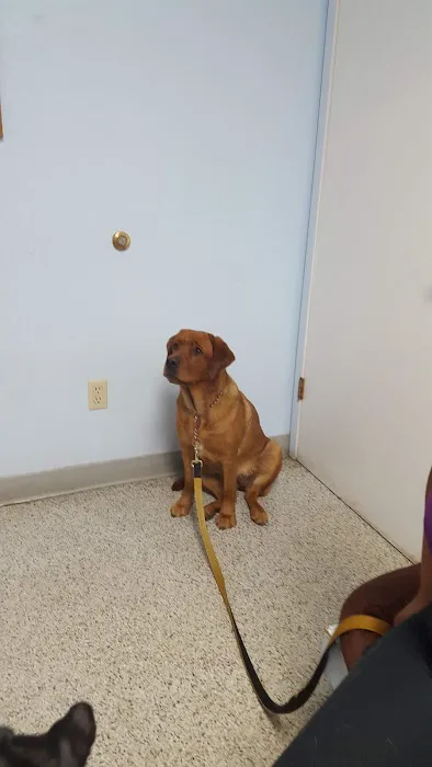 Princeton Veterinary Clinic Picture 5