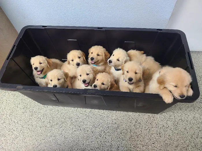 Princeton Veterinary Clinic Picture 8