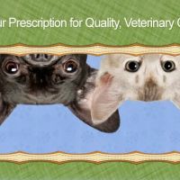 Camden Pet Hospital ico