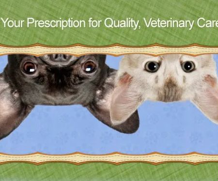 Camden Pet Hospital