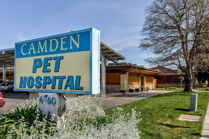 Camden Pet Hospital Picture 5