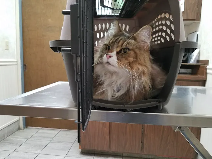 Camden Pet Hospital Picture 8