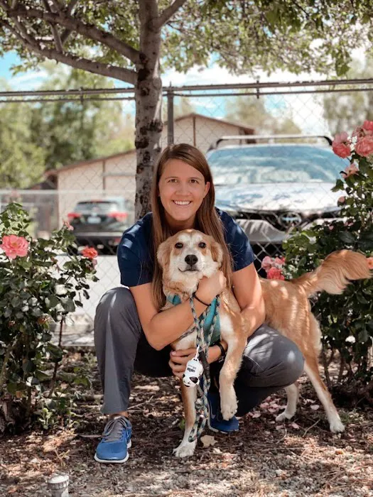 VCA Almaden Valley Animal Hospital Picture 1