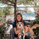 VCA Almaden Valley Animal Hospital