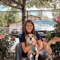 VCA Almaden Valley Animal Hospital ico