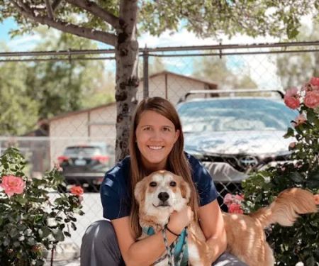 VCA Almaden Valley Animal Hospital