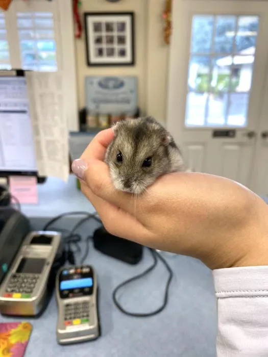 VCA Almaden Valley Animal Hospital Picture 2