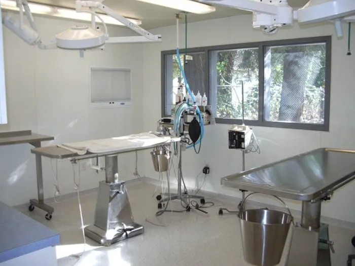 VCA Almaden Valley Animal Hospital Picture 7