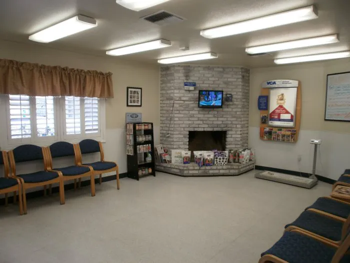 VCA Almaden Valley Animal Hospital Picture 8