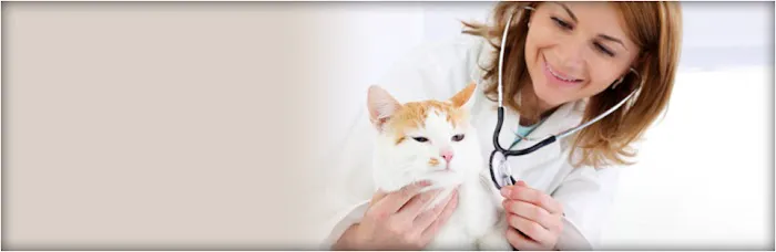 Almaden Animal Clinic Picture 1