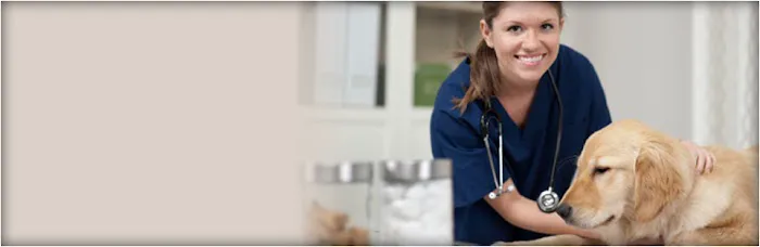 Almaden Animal Clinic Picture 2