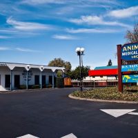 Animal Medical Clinic ico