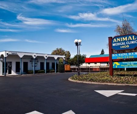 Animal Medical Clinic