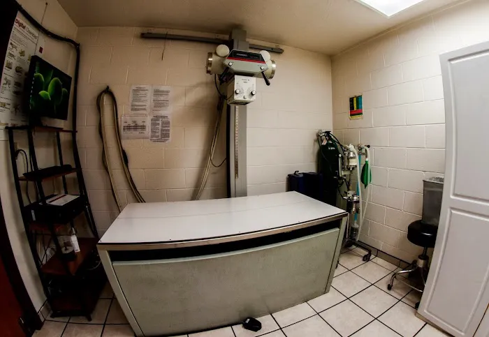 Animal Medical Clinic Picture 9