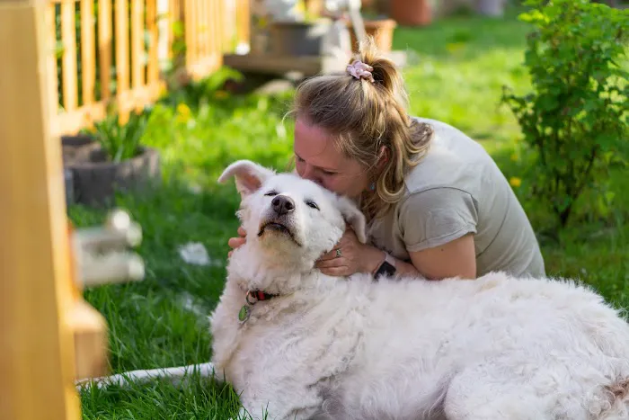 Fond Farewell In Home Euthanasia Picture 1