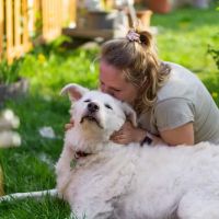 Fond Farewell In Home Euthanasia ico