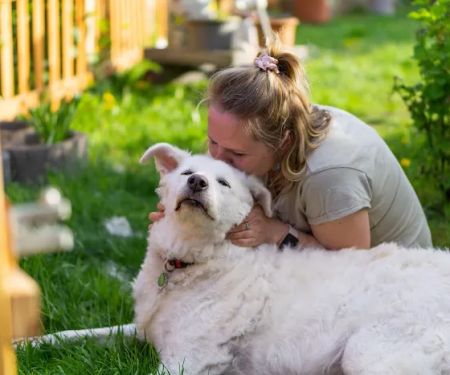 Fond Farewell In Home Euthanasia