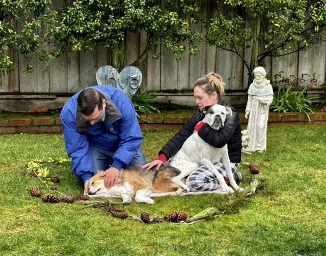 Fond Farewell In Home Euthanasia Picture 2