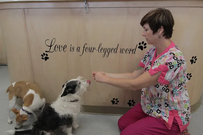 Pet's Friend Animal Clinic Picture 1