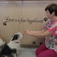 Pet's Friend Animal Clinic ico