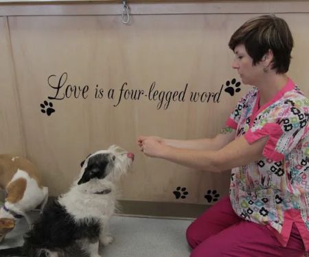 Pet's Friend Animal Clinic