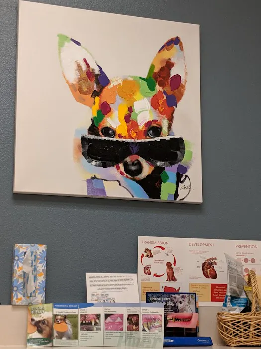 Pet's Friend Animal Clinic Picture 6