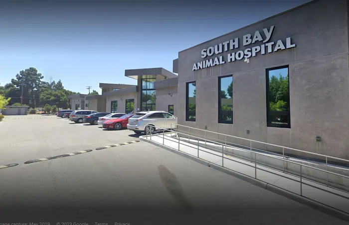 South Bay Animal Hospital & Emergency Picture 3