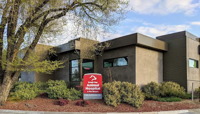 South Bay Animal Hospital & Emergency Picture 7