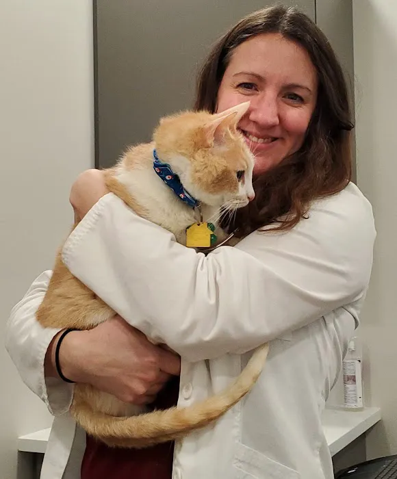 Apex Veterinary Specialists Picture 3