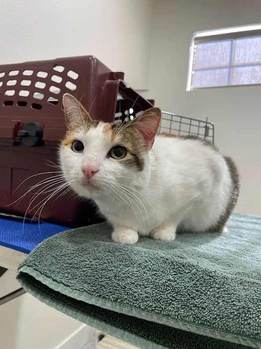 Happy Valley Pet Hospital Picture 3