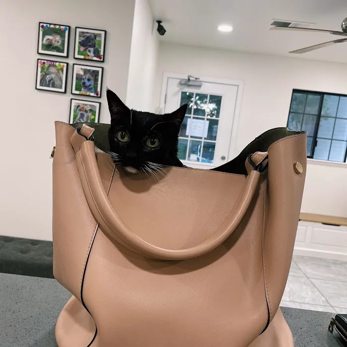 Happy Valley Pet Hospital Picture 7
