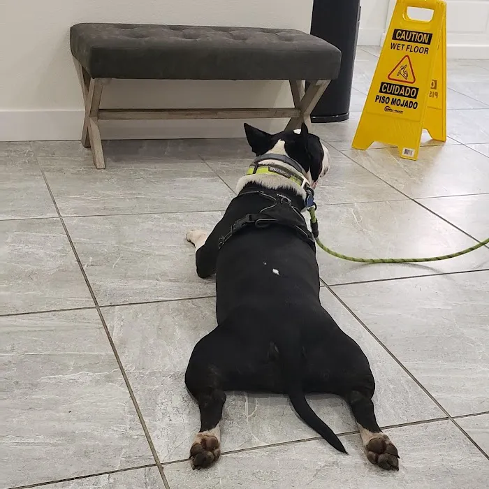 Happy Valley Pet Hospital Picture 10