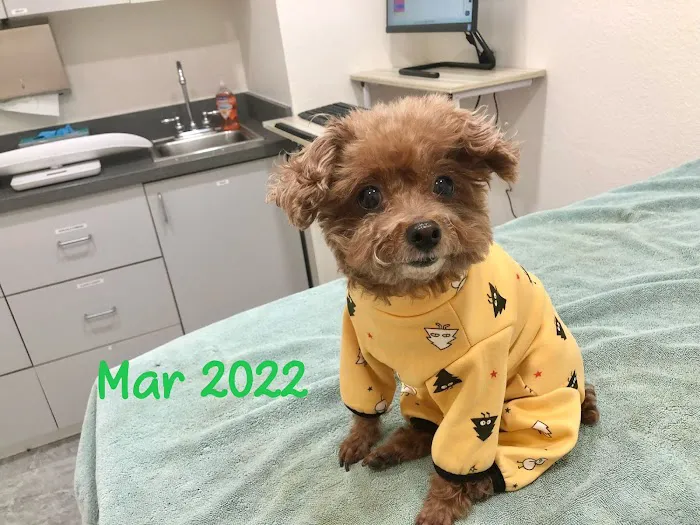 Happy Valley Pet Hospital Picture 8