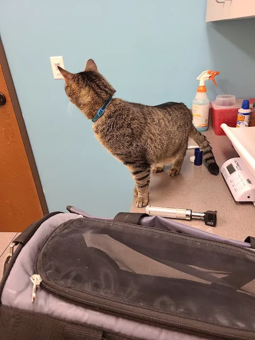 Austin Vet Hospital Picture 1