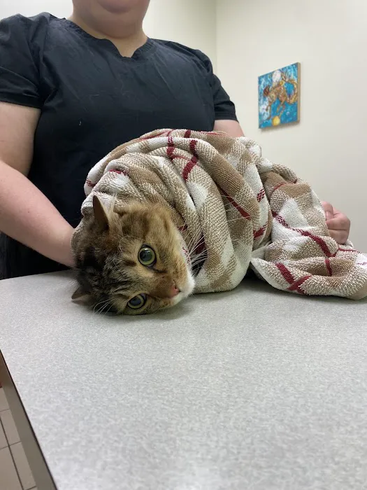 Austin Vet Hospital Picture 5