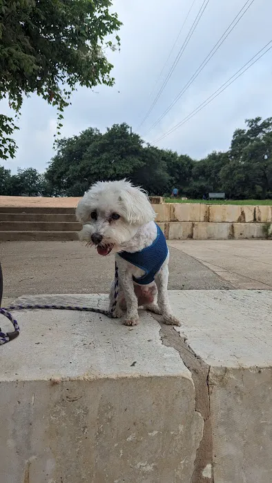 Austin Vet Hospital Picture 10