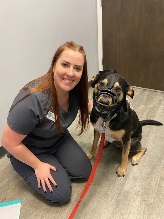 Crestview Veterinary Clinic on Airport Blvd Picture 4