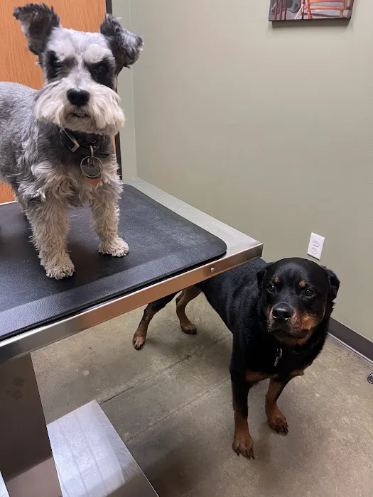 Rosedale Veterinary Clinic Picture 5