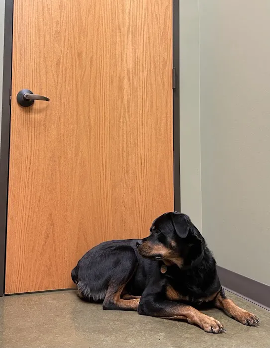 Rosedale Veterinary Clinic Picture 9