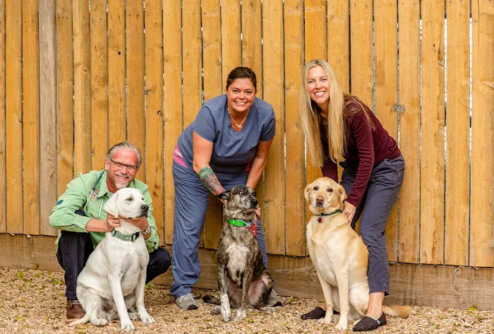 North Austin Animal Hospital Picture 3