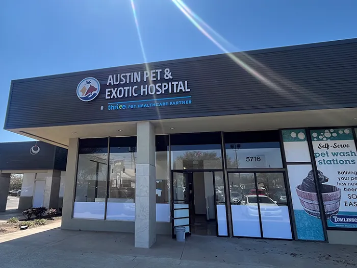 Austin Pet & Exotic Hospital Picture 1