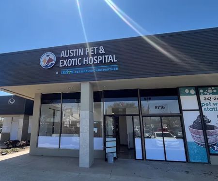 Austin Pet & Exotic Hospital