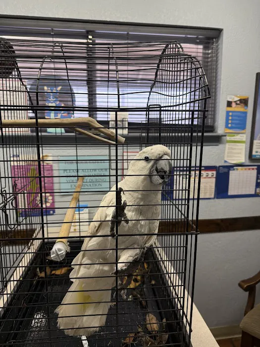 Austin Pet & Exotic Hospital Picture 3