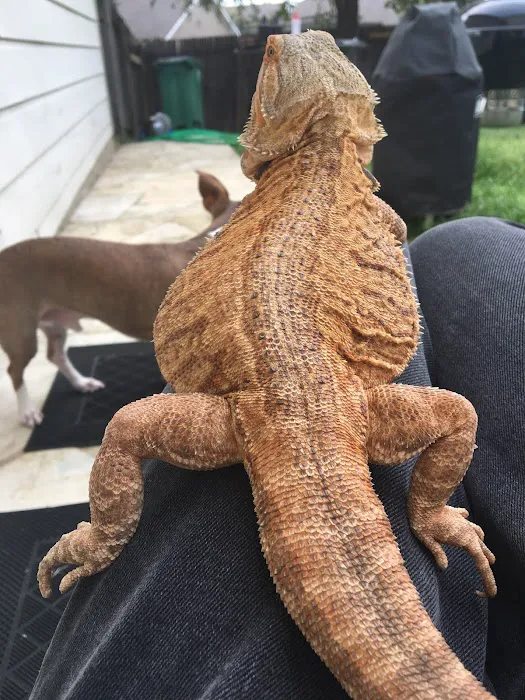 Austin Pet & Exotic Hospital Picture 4