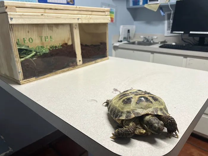 Austin Pet & Exotic Hospital Picture 9
