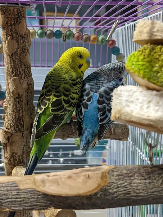 Austin Pet & Exotic Hospital Picture 7