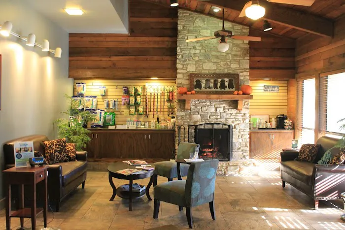 Westlake Animal Hospital, A Thrive Pet Healthcare Partner Picture 3