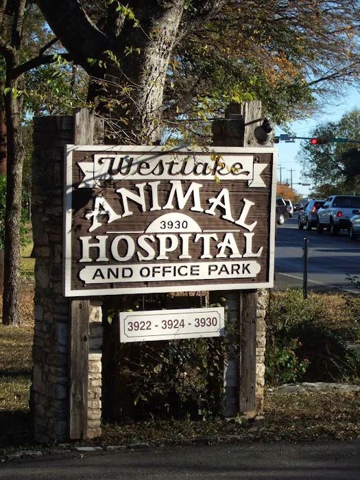 Westlake Animal Hospital, A Thrive Pet Healthcare Partner Picture 7