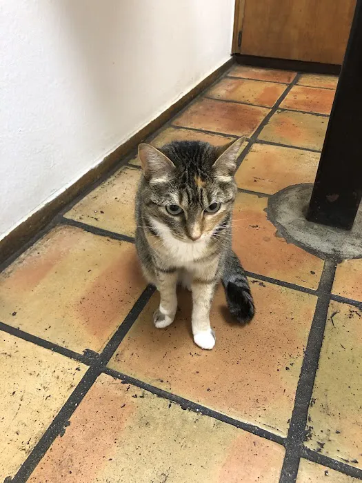 Barton Creek Animal Clinic Picture 1